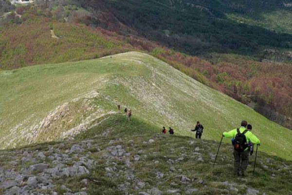 Parco Appennino Lucano