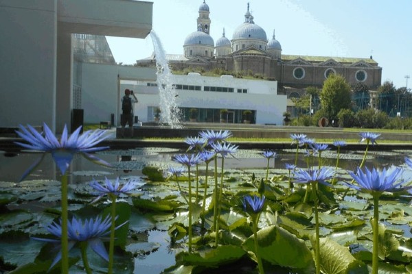 Orto botanico