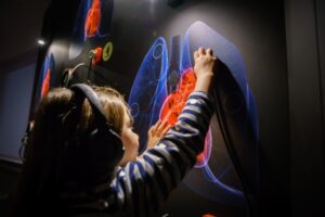 museo medicina padova