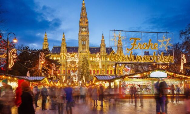 Mercatini di Natale a Vienna: consigli e informazioni