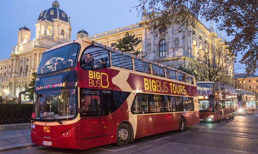 Tour in bus a Vienna: le migliori soluzioni
