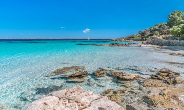 L’Isola di San Pietro e il borgo di Carloforte: quando la Sardegna incontra la Liguria