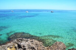 monopoli porto nero