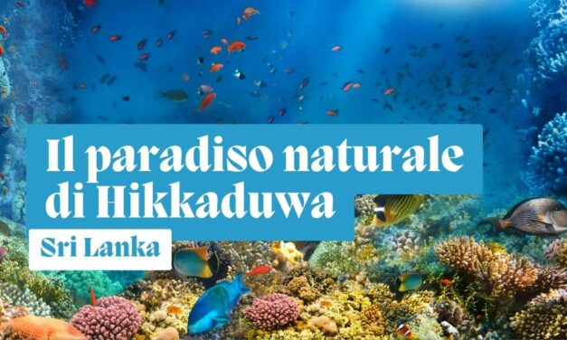 Hikkaduwa: spiagge bianche, parco marino e santuario del corallo