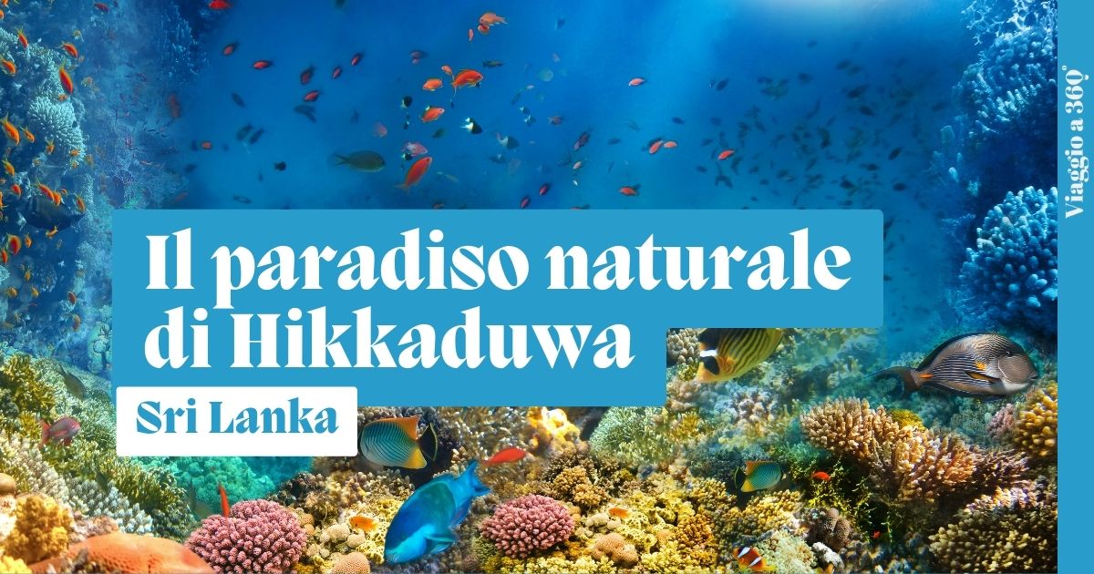 Hikkaduwa: spiagge bianche, parco marino e santuario del corallo