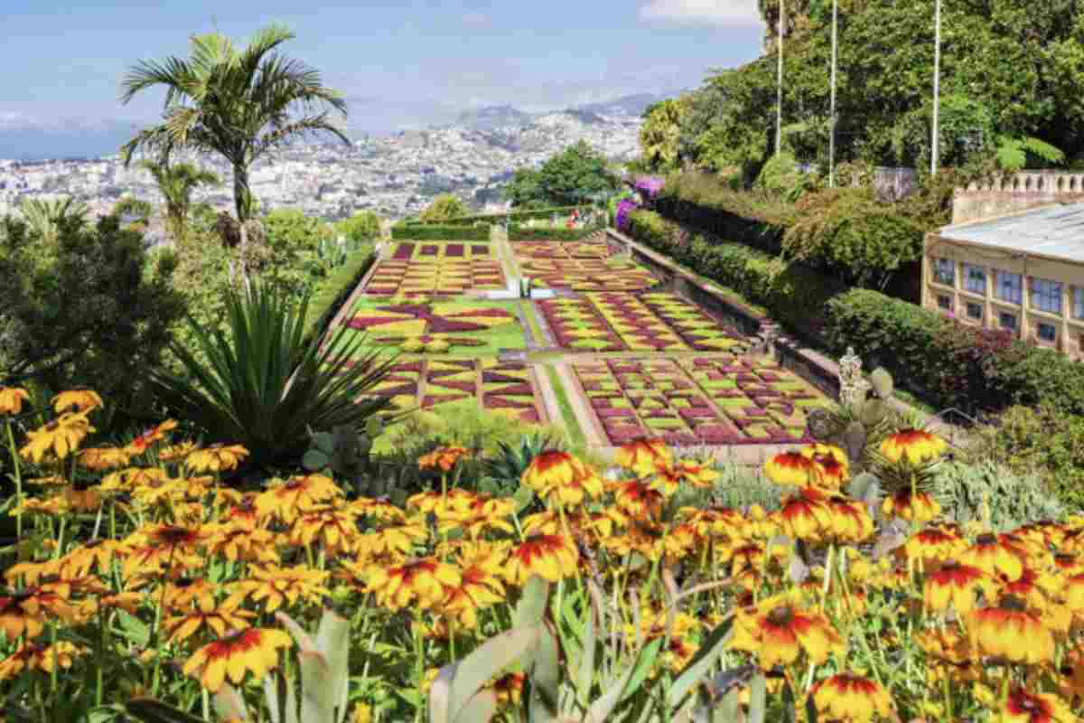 Oltre ai benefici economici e climatici, Madeira offre una vasta gamma di attività culturali, ricreative e sportive che arricchiscono la vita