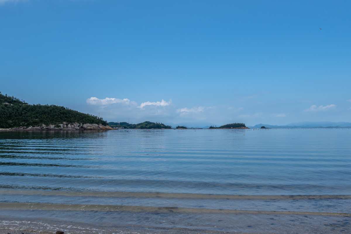 jindo isola