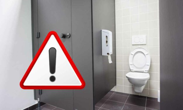 Bagni pubblici, mai accovacciarsi sul WC: le gravi conseguenze di questo semplice gesto