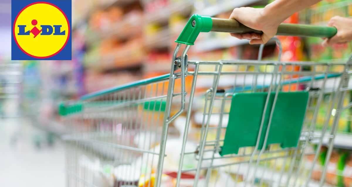 Affare pazzesco Lidl: l’elettrodomestico da cucina che tutti vogliono a soli 9,90 euro