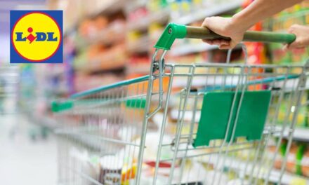 Affare pazzesco Lidl: l’elettrodomestico da cucina che tutti vogliono a soli 9,90 euro
