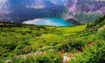 A pochi passi da Milano c’è il luogo più bello di sempre: paradiso in Terra