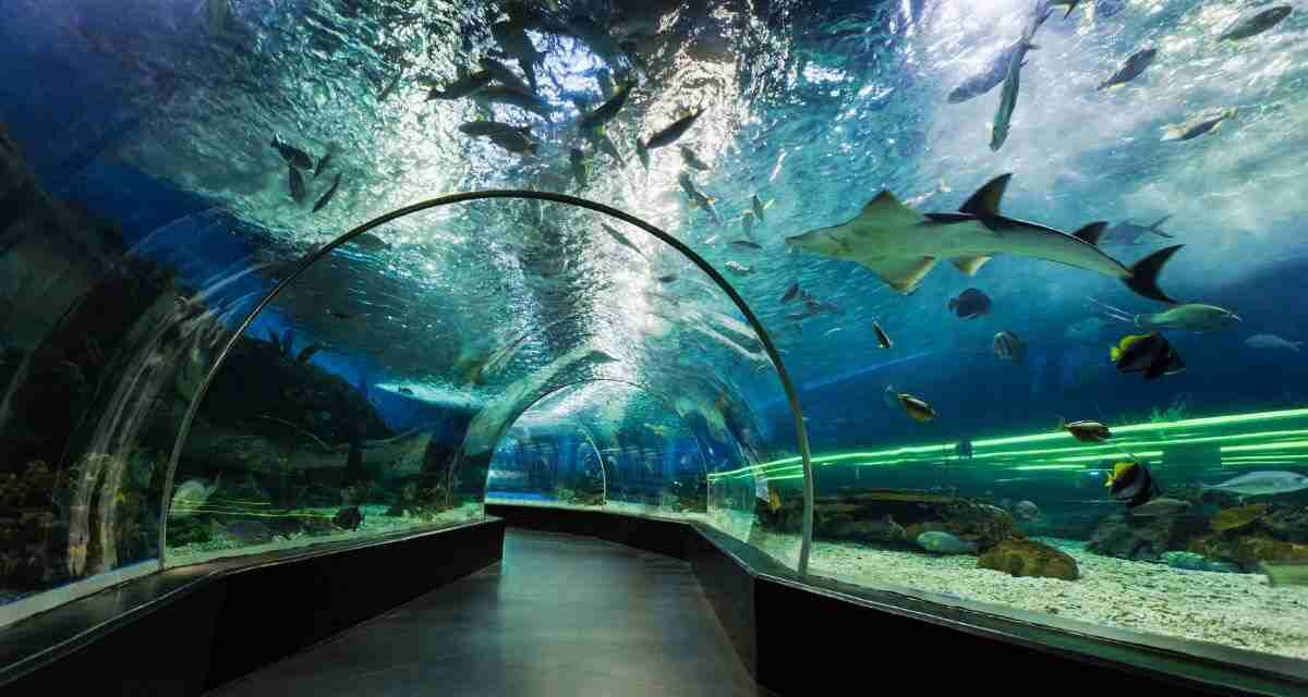 Viaggiare sott’acqua è possibile, arriva l’enorme tunnel sottomarino: collegherà due continenti